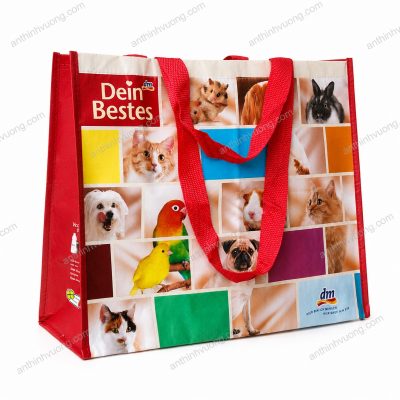 TÚI VẢI KHÔNG DỆT CÁN MÀNG LÀM QUÀ TẶNG